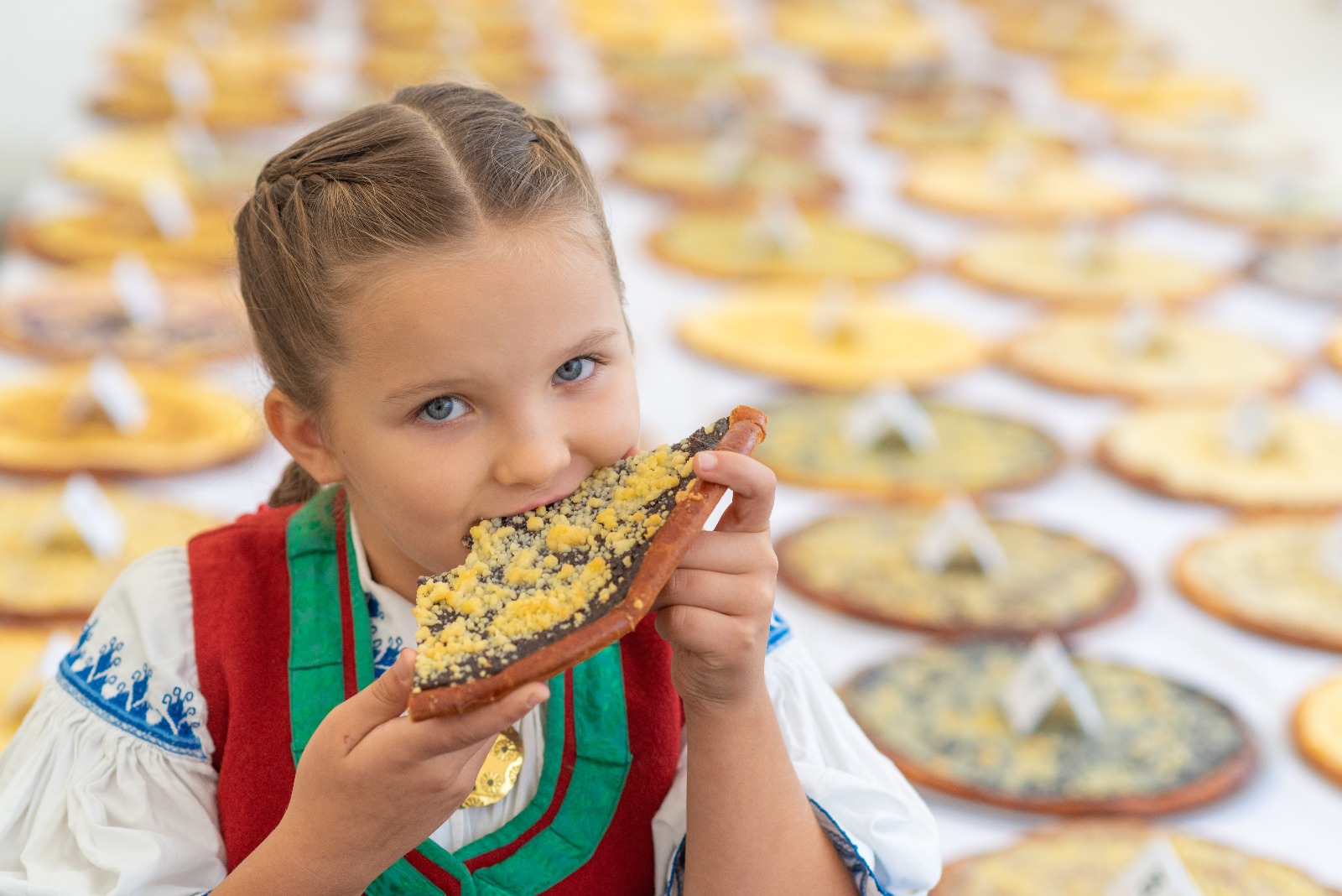 Karlovsk Gastrofestival