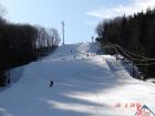 LYASK AREL SVINEC U NOVHO JINA 
(klikni pro zvten)