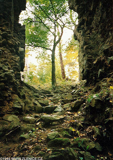 Z��CENINA ZLENICE � HL�SKA 