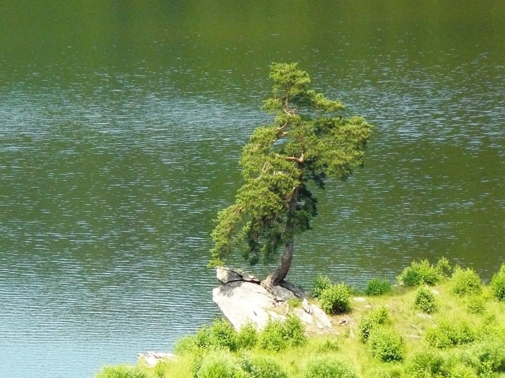 P�EHRADN� N�DR�E V�R I. A II. U BYST�ICE NAD PERN�TEJNEM