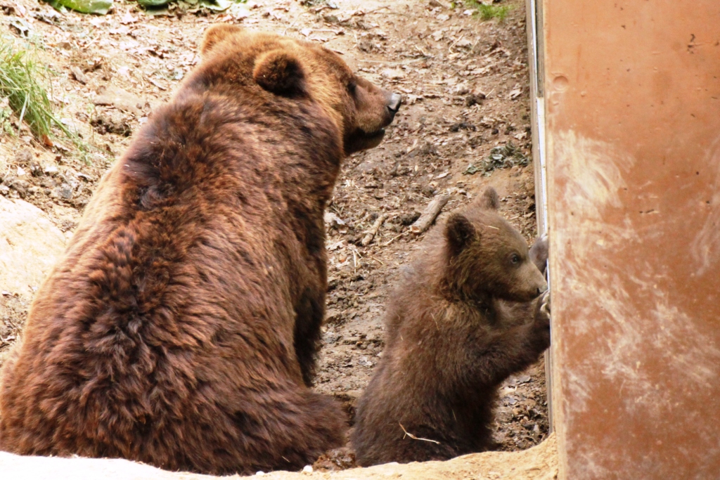 ZOO BRNO