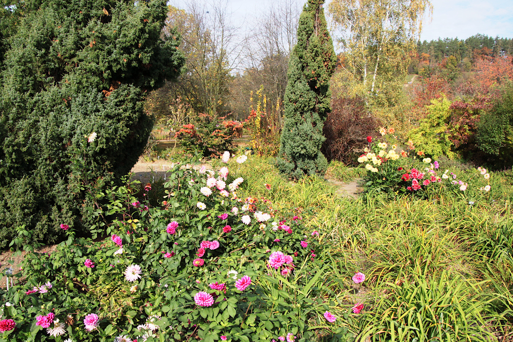 BOTANICK� ZAHRADA - PRAHA TROJA