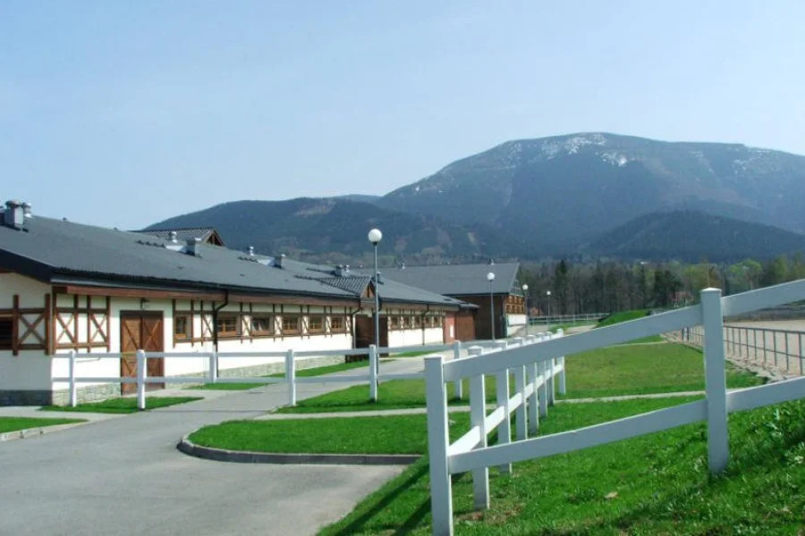 PROSPER HORSE RANCH NA �ELADN� 