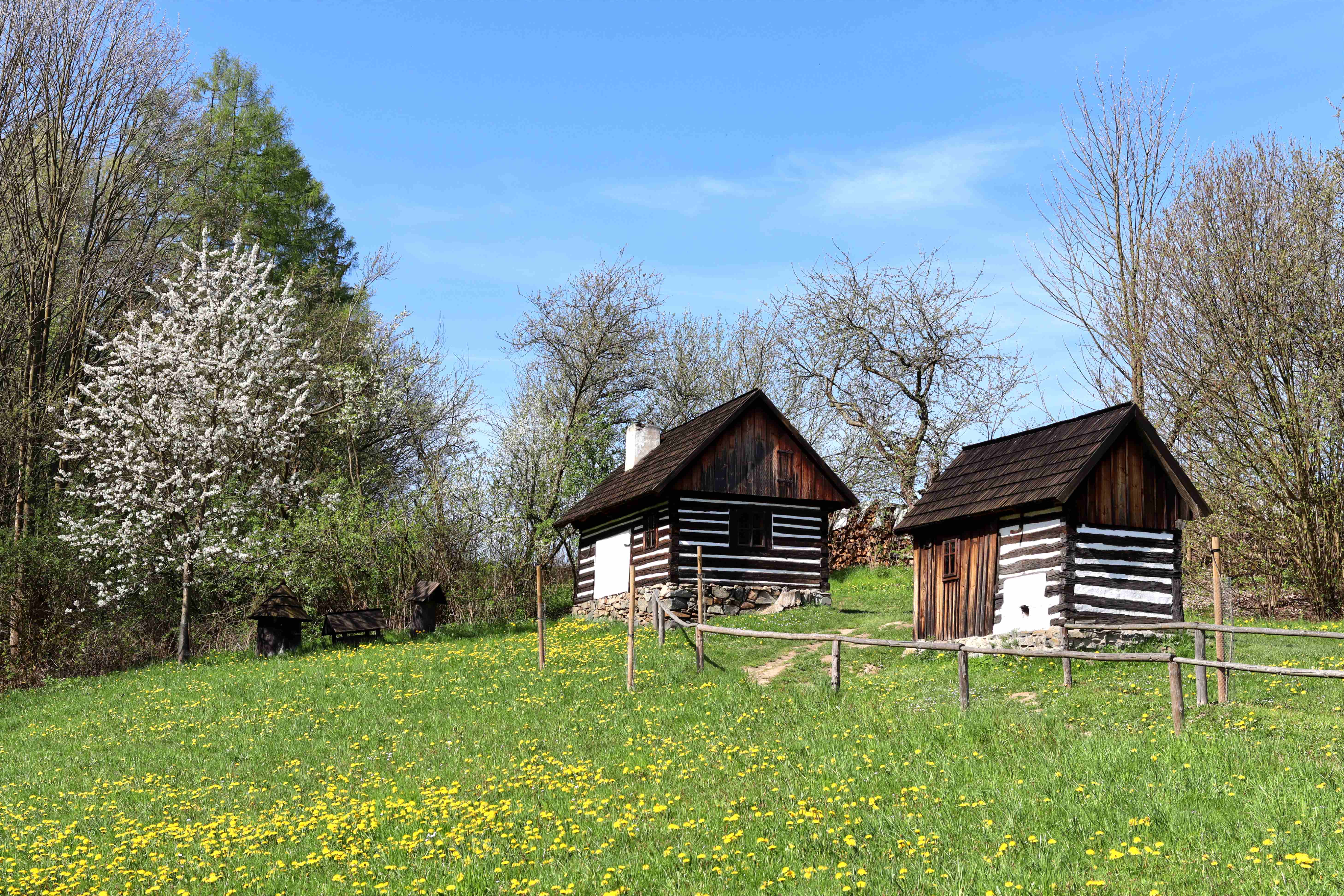 MUZEUM V P��ROD� VYSO�INA - VESEL� KOPEC