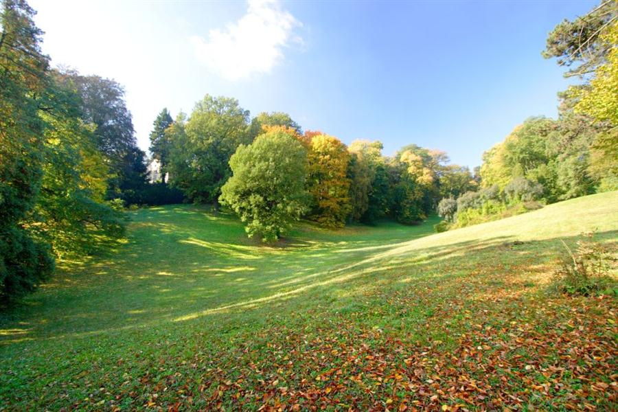Z�meck� park