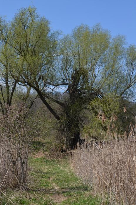 Turistick� stezka �tinkovka